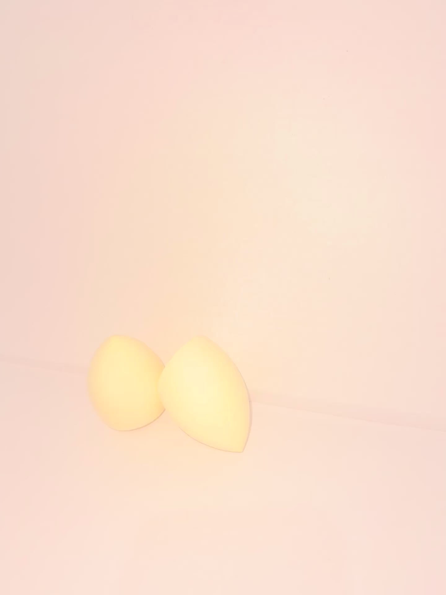 Large makeup sponge